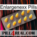 Enlargenexx Pills cialis1